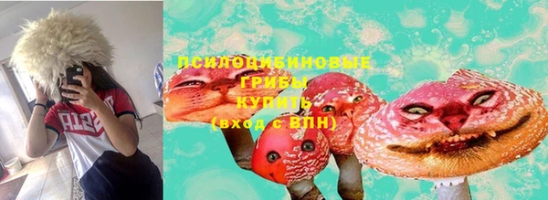 МДПВ Арсеньев