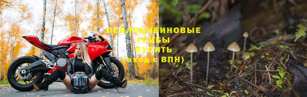 МДПВ Арсеньев