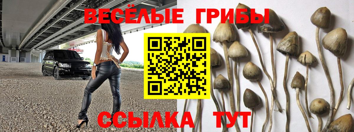Галлюциногенные грибы мухоморы  Псилоцибиновые грибы мухоморы  Зима  Вход с VPN 