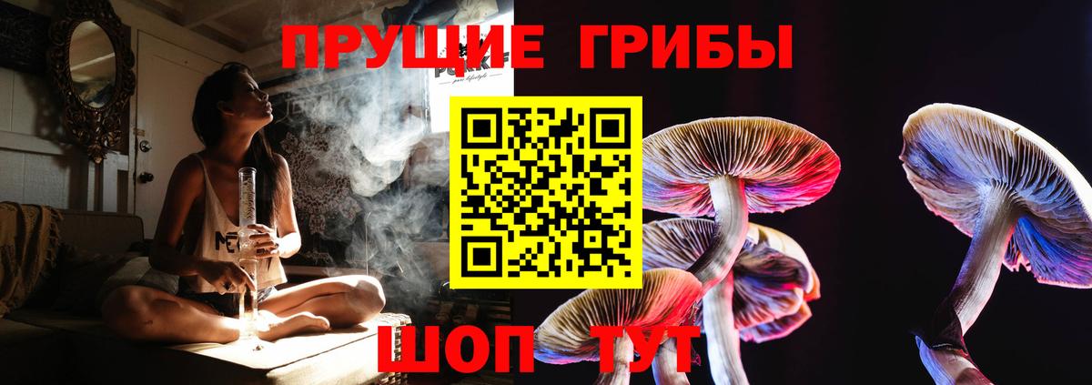 Галлюциногенные грибы мицелий Зима