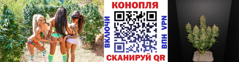 дарнет шоп  Зима  ОМГ ОМГ ССЫЛКА  Бошки марихуана White Widow 